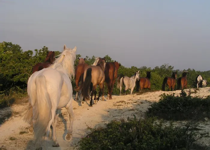 ベッド・アンド・ブレックファスト La Maison De Ganil