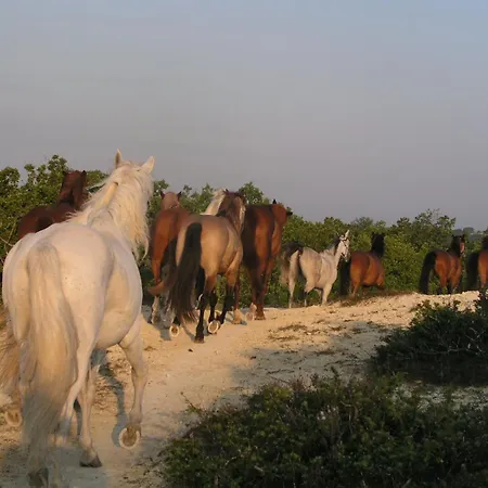 Couette-café La Maison De Ganil